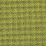 031