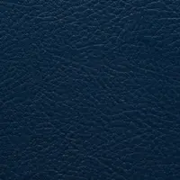 ICO-18