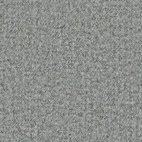 LDS16(パートナー)