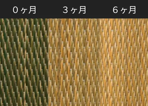 色褪せイメージ