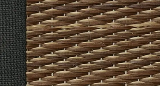 焦茶（へり：黒）