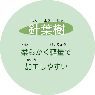 針葉樹